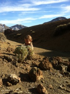 Leo in Teide