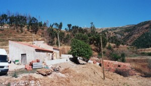 Two and a half years of buckets of cement, paint, plants and money.