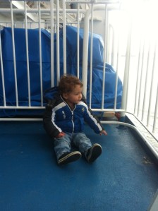 Leo on the ferry