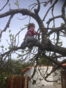 Leo refusing to stay with the neighbour. 'Mummy, call the fire engine!'